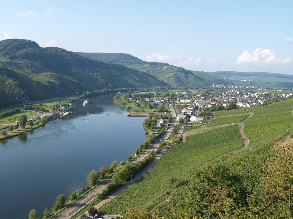 Weingut Gorges-Reinhard Apartment Wintrich Room photo