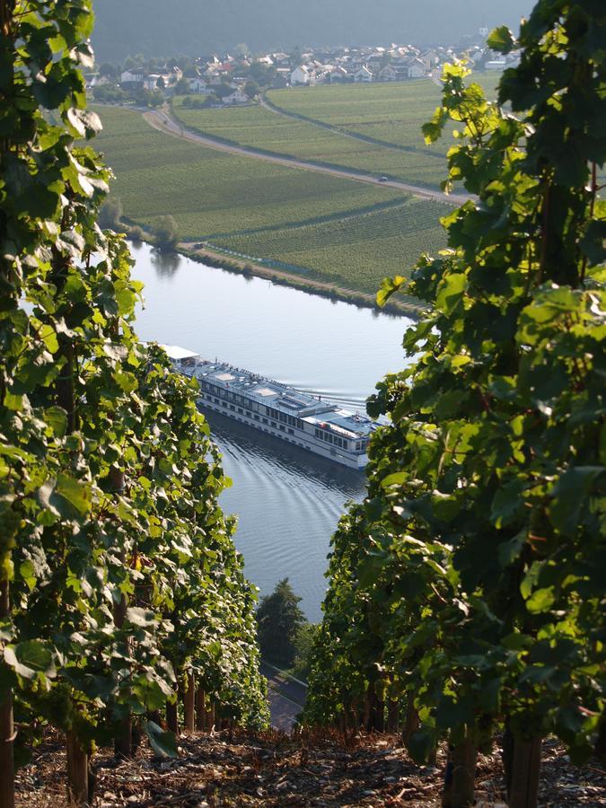 Weingut Gorges-Reinhard Apartment Wintrich Exterior photo